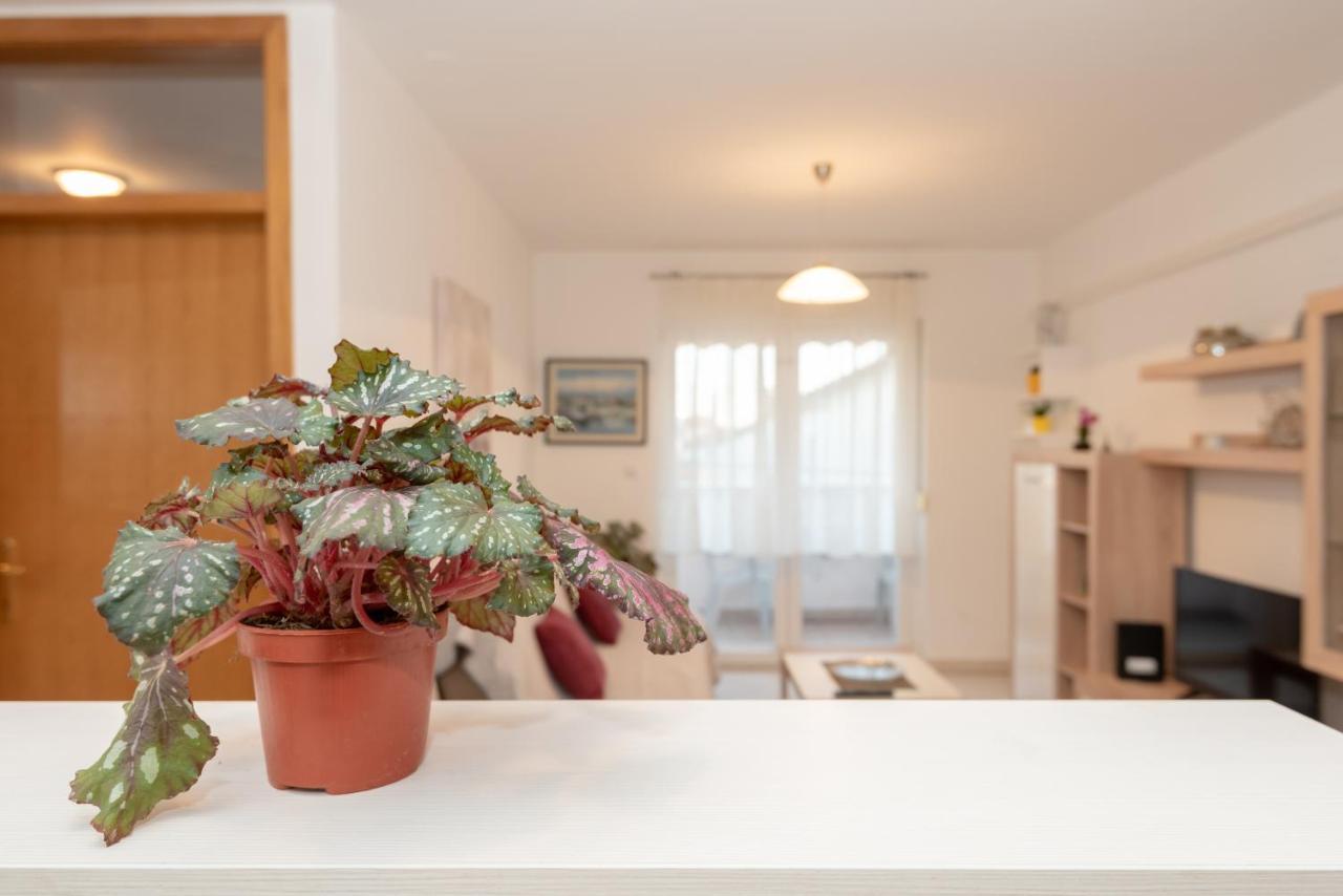 Apartman Valter Appartement Zadar